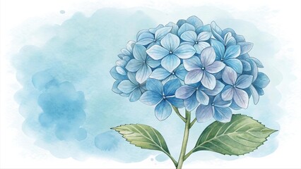 Watercolor illustration of blue hydrangea flower with green leaves on soft blue background. Botanical floral artwork perfect for greeting cards, wall art, or decorative design.