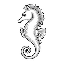 Fototapeta premium Seahorse sketch with curled tail and snout outline, transparent background.