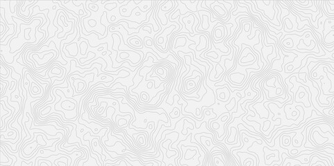 contour wavey out line style topo map seamless concept topographic decorative georaphic line surface white light topographic design. 