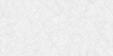 contour wavey out line style topo map seamless concept topographic decorative georaphic line surface white light topographic design. 