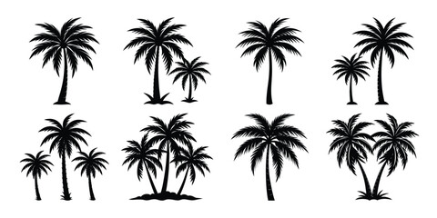 set of palm tree silhouettes, isolated on a white background, black palm tree silhouette, tropical coconut