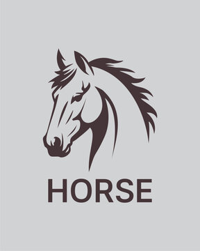 Minimalist and elegant, this image features a vector illustration of a horse's head in a monochromatic style, with fluid and detailed lines that convey strength and nobility. 