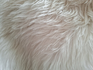 Fluffy white fur texture with wavy and soft strands covering the frame, showcasing detailed and close-up view of the material's natural and luxurious appearance