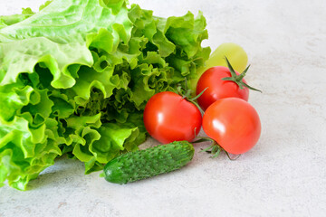 Fresh Vegetables Lettuce, Tomatoes and Cucumber close up