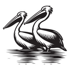 Two pelicans big mouth on water image vector