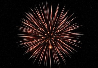 Festive firework display against dark night sky