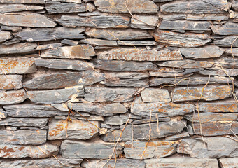 old wall with dried ivy branches hanging down and broken stones, abstract background