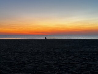 Pre-dawn sky at Virginia Beach with silhouettes of birds and glowing orange and blue horizon