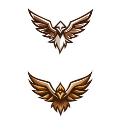 Obraz premium wings logos
