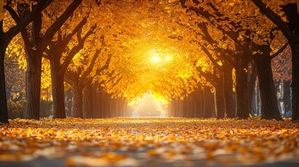 Golden autumnal avenue