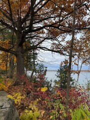 Canadian fall