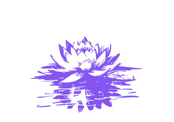 Lotus Flower Hand Drawn Natural Illustration Vector Isolated by AZ for Books, Arts, Design and Decoration Graphic Asset