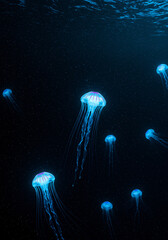 Bioluminescent jellyfish in deep dark ocean, glowing in electric blue and purple, mysterious atmosphere