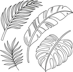Decorative seamless feather patterns and vector illustrations featuring diverse bird, leaf, and vintage quill designs for nature-inspired art and design projects