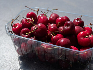 Freshly Harvested Red Cherries in Plastic Container