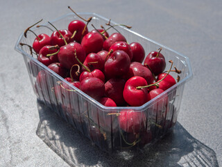Freshly Harvested Cherries in Clear Plastic Container