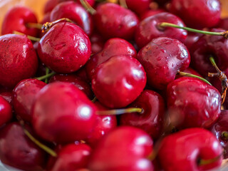 Freshly Harvested Juicy Red Cherries in Bowl