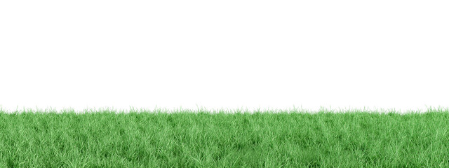 green grass isolated on white background
