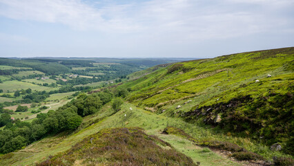 Lush green valley and hills stretching under cloudy sky in North York Moors National Park, United Kingdom