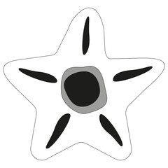 Starfish vector icon. Ocean animal shape. Black white drawing. Underwater sea symbol.