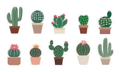 A set of vector cactus elements suitable for decoration and presentations.