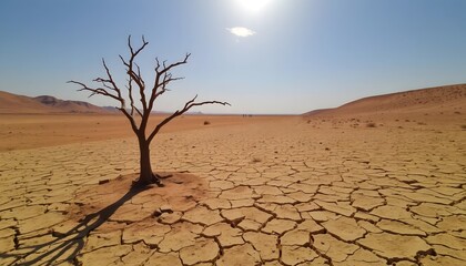 Desertification crisis pollution effects on arid landscapes global viewpoint environmental impact study