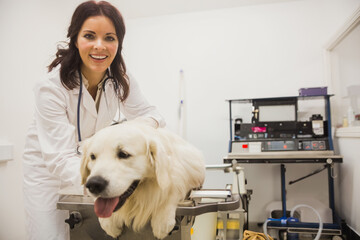 Smiling woman vet wearing stethoscope and lab coat examining golden retriever on exam table