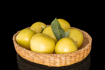 Yellow juicy plums isolated on black background, close-up.