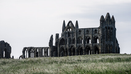 Whitby Abbey's ruins stand majestically against a cloudy sky, showcasing gothic architecture and...