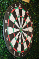 A well-worn dartboard mounted on a lush green leaf-covered wall, photographed at an angle, showing...