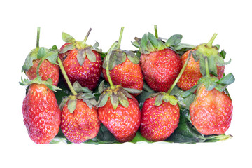 strawberry isolated on white background