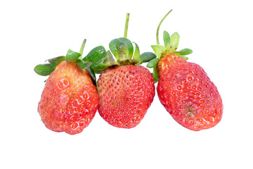 Low-grade, unattractive strawberries, isolated on a white background.