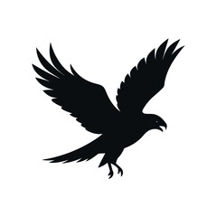 Fototapeta premium Majestic Hawk Silhouette A Powerful Bird of Prey in Flight