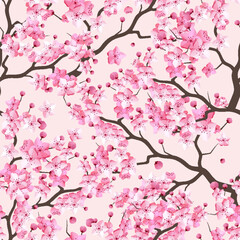 Fototapeta premium seamless pattern sakura cherry branch with blooming flowers design