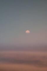 Shrouded stellar objects and exoplanet drift in interstellar mist far away in the universe