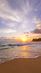 tranquil tropical beach at sunset, soft golden and pink sunlight reflecting on calm ocean waves