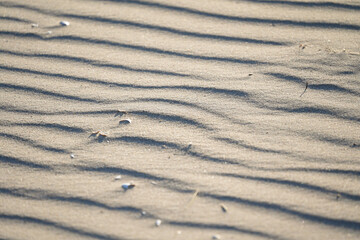 Close-up of sand texture with wavy pattern.