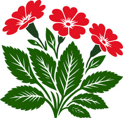Primrose flowers vector illustration, vector illustration of primrose flowers with leaves