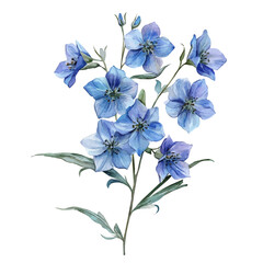 Fototapeta premium A Delphinium Stem Bouquet, watercolor drawing vector, isolated on a white background.