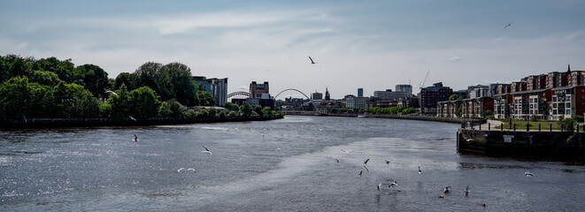 Panoramic view of River Tyne with seagulls flying and modern buildings in Newcastle upon Tyne, England, United Kingdom