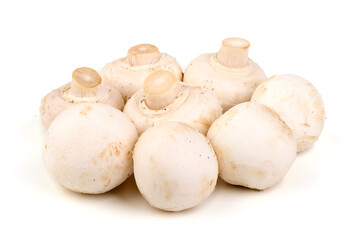 Mushrooms Still Life, White Background