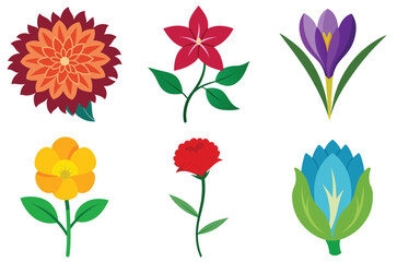 collection of flowers