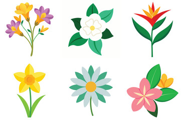 collection of flowers