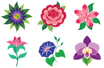 collection of flowers