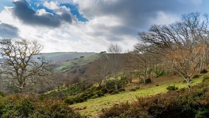 Majestic Hillside Landscape Under a Cloudy Sky, Featuring Lush Green Grass, Trees, and Breathtaking Scenery for Nature and Travel Photography