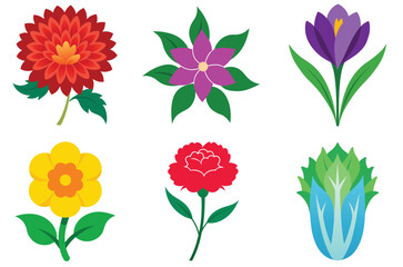  collection of flowers