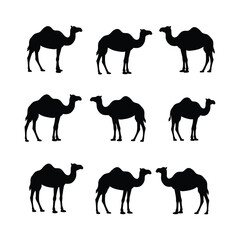 "Silhouette of Double-Humped Camels in Grid Pattern &ndash; Black Camel Icons on White Background"

