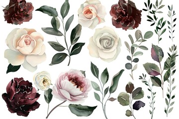 Premium Quality Visual of Watercolor Floral Elements Set for Wedding Invitations