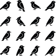Fototapeta premium Sixteen black bird icons set simple design
