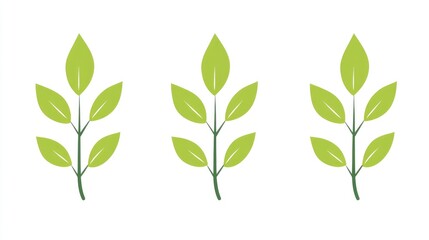 Three simple, stylized plant sprigs against a plain background.